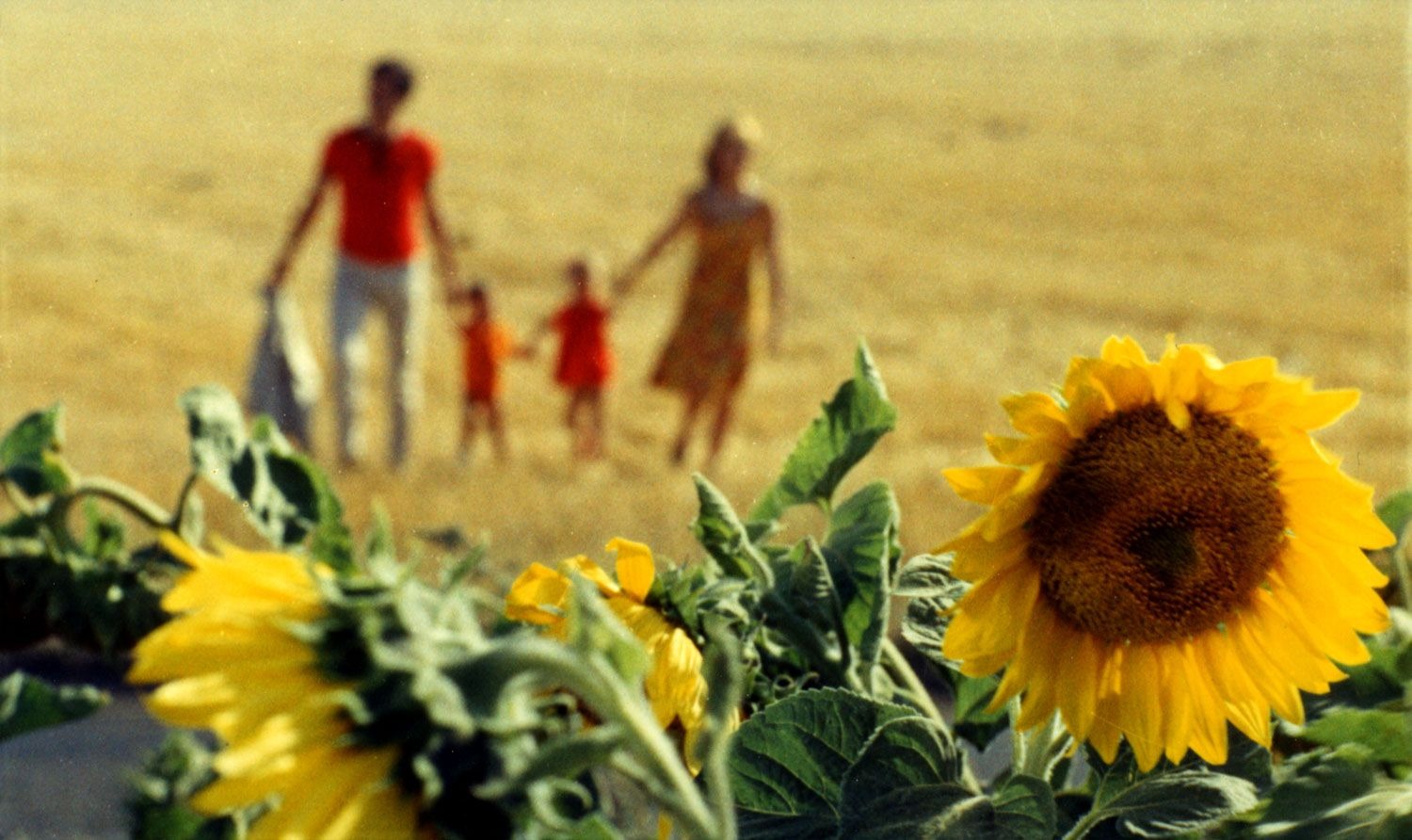 You are currently viewing LE BONHEUR : Ciné-Sorbonne