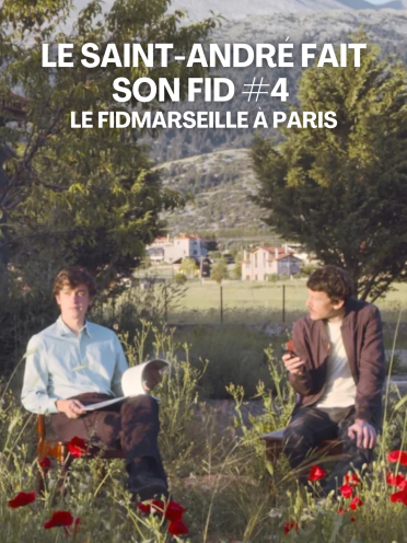 affiche FID